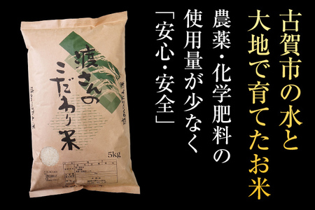 渡さんのこだわり米 1kg 夢つくし 元気つくし にこまる ふくおかエコ農産物認証 米 精米 古賀市産 お取り寄せグルメ お取り寄せ 福岡 お土産 九州 福岡土産 取り寄せ グルメ 福岡県