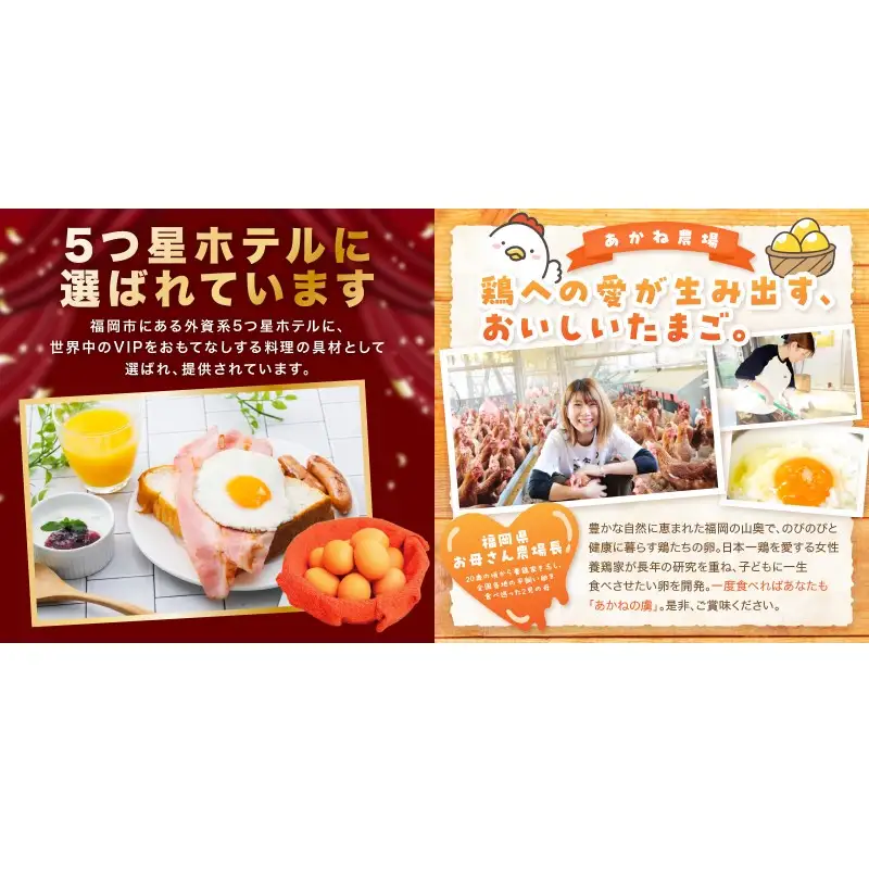 〈平飼い卵〉あかねの虜（40個/月）【12カ月定期便】【J95-005】