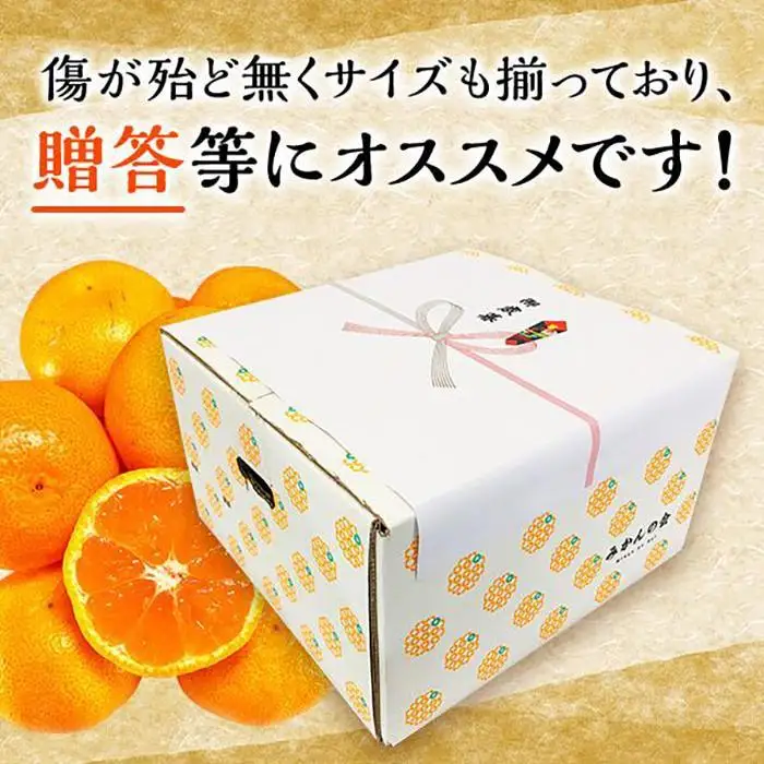 みかん Lサイズ 秀品 箱込 7.5kg (内容量約 6.8kg) 有田みかん 和歌山県産 産地直送 贈答用 ［2026年11月中旬より順次出荷予定］［みかんの会］