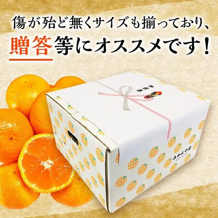 みかん Ｍサイズ 秀品 箱込 7.5kg (内容量約 6.8kg) 有田みかん 和歌山県産 産地直送 贈答用 ［2026年11月中旬より順次出荷予定］［みかんの会］