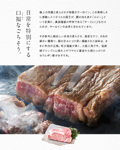 サーロインステーキ 1枚250g 4枚入り A152-002 サーロイン ステーキ 牛肉 国産 黒毛和牛 黒毛 和牛 脂の旨み 焼肉 鉄板焼き お料理 ごはんのおかず 食品
