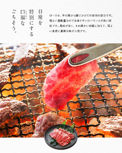 特上ロース焼肉 250g A152-003 ロース 牛肉 国産 黒毛和牛 黒毛 和牛 脂の旨み 焼肉 鉄板焼き お料理 ごはんのおかず 食品