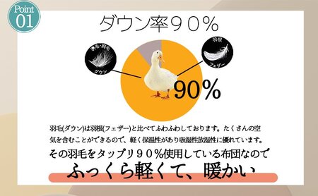 【５色展開】洗える羽毛合い掛け布団シングルダウン90％350dp北欧デザイン羽毛1.0kg洗濯可羽毛布団 寝具  グリーン