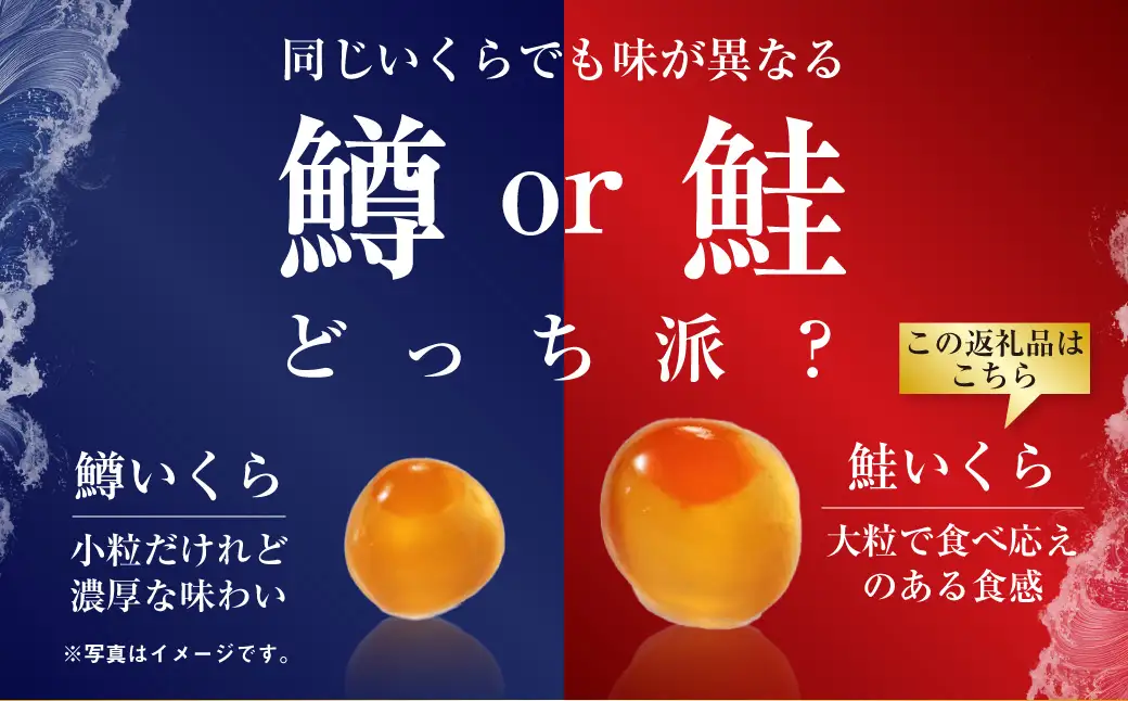 【最短3営業日以内発送】いくら 醤油漬け 250g×2パック 計500g 北海道 釧路 ふるさと納税 いくら イクラ 丼 ごはんのお供 魚介類 海鮮 魚卵 海産物 F5F-0098