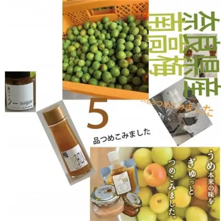 ゼロ塩梅お試しセット_調味料 塩  しお  調味料 ドレッシング    調味料 はちみつ  ハチミツ 蜂蜜  惣菜・加工品 ジャム 缶詰・瓶詰   惣菜・加工品  缶詰・瓶詰 _【1445016】