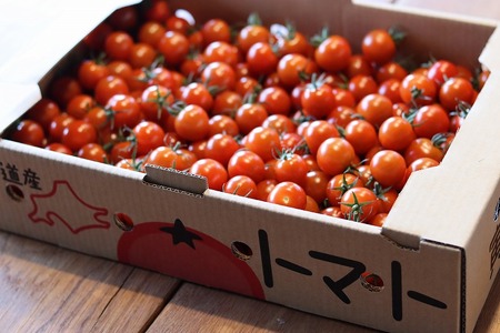 寅福菜園のミニトマト（4㎏）
