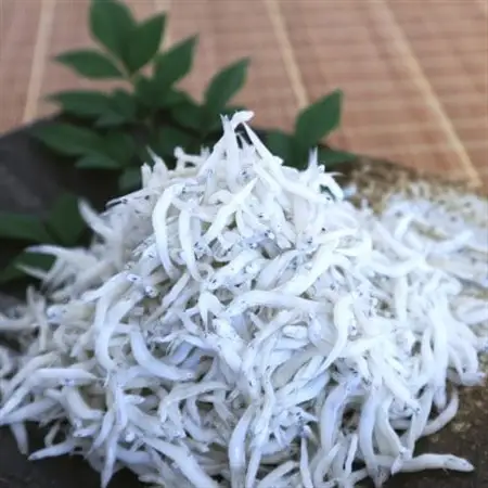 釜あげしらす 木箱入り900g【配送不可地域：離島・北海道・沖縄県】【1293078】