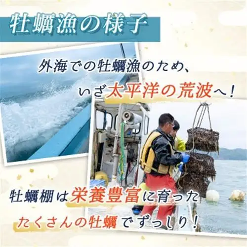 仙鳳趾名産 牡蠣 150～199g×13個+かきナイフ付K4-3_仙鳳趾 センポウシ せんぽうし 牡蠣 カキ 生食用 殻付き 牡蠣 絶品 産地直送 北海道 釧路町 釧路超 特産品 _【配送不可地域：離島・沖縄県・信越、北陸・東海・近畿・中国・四国・九州】【1294853】