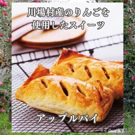 アップルパイ　8個_菓子・スイーツ 焼き菓子  _【配送不可地域：離島・沖縄県】【1131389】