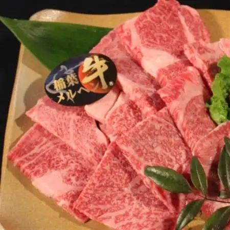 稲葉メルヘン牛(A4-A5)　ロース焼肉500g【配送不可地域：離島・北海道・沖縄県・東北・中国・四国・九州】【1291448】