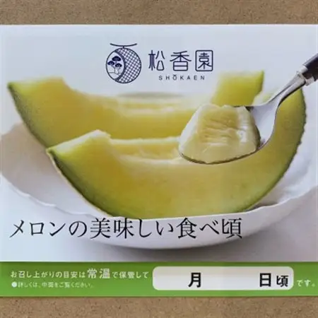 静岡温室マスクメロン2個入(化粧箱入)_果物・フルーツ メロン  めろん_【配送不可地域：離島・北海道・沖縄県】【1438671】