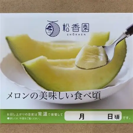 高級静岡温室マスクメロン大1個入(化粧箱入)_果物・フルーツ メロン  めろん_【配送不可地域：離島・北海道・沖縄県】【1438713】