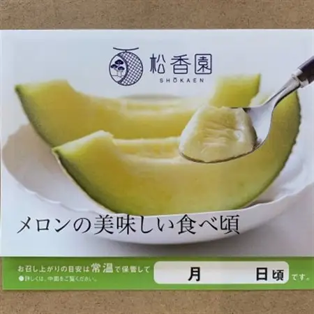高級静岡温室マスクメロン大2個入(化粧箱入)_メロン マスクメロン めろん 化粧箱 2個 大玉 果物 くだもの フルーツ 甘い おいしい デザート 産直 産地直送 贈答 ギフト プレゼント 静岡県 送料無料_【配送不可地域：離島・北海道・沖縄県】【1438714】