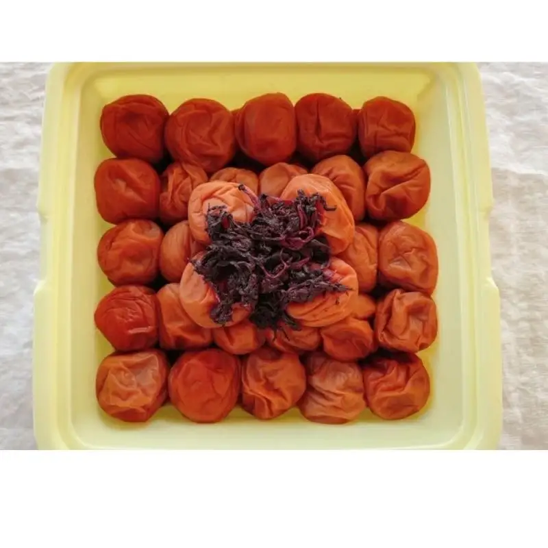 紀州南高梅　三栖里の梅（塩分10%）　4kg(2kg×2個）  / 田辺市 紀州南高梅 南高梅 梅干し 梅干 梅  肉厚 お米 おにぎり 焼酎 梅酒 健康 【ske041-2】