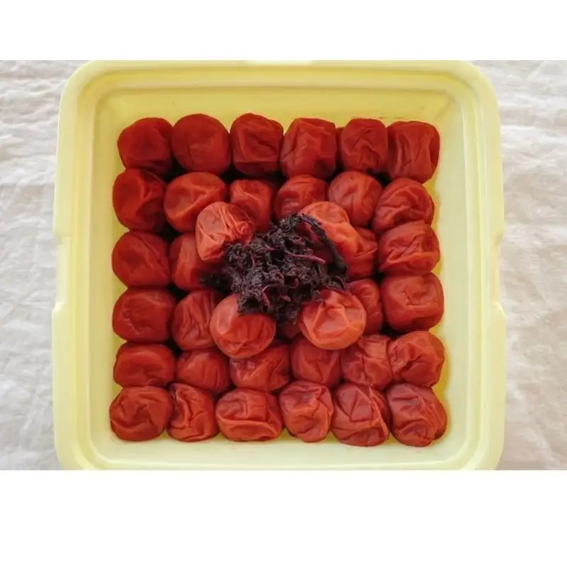  紀州南高梅　しそ梅（塩分13%）　4kg(2kg×2個） / 田辺市 紀州南高梅 南高梅 梅干し 梅干 梅  肉厚 お米 おにぎり 焼酎 梅酒 健康 【ske044-2】