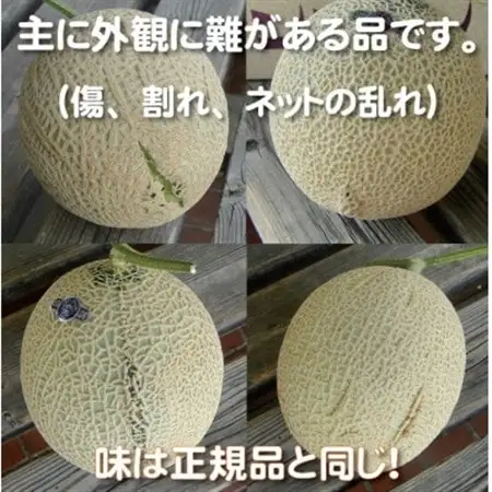 【訳あり高級メロン】アローマメロン　1玉入【通年出荷】_訳あり 静岡県産_【配送不可地域：離島・北海道・沖縄県】【1447128】