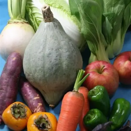 季節の野菜セット(10～15種)【配送不可地域：離島・沖縄県】【1210559】
