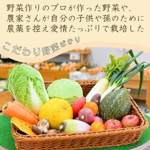 あぐりん村の新鮮野菜宅配BOX 常温配送期間［ 新鮮野菜 宅配BOX 詰め合わせ クール便 季節野菜 健康 ヘルシー 人気 おすすめ ギフト プレゼント お取り寄せ 通販 送料無料 ふるさと納税 ］