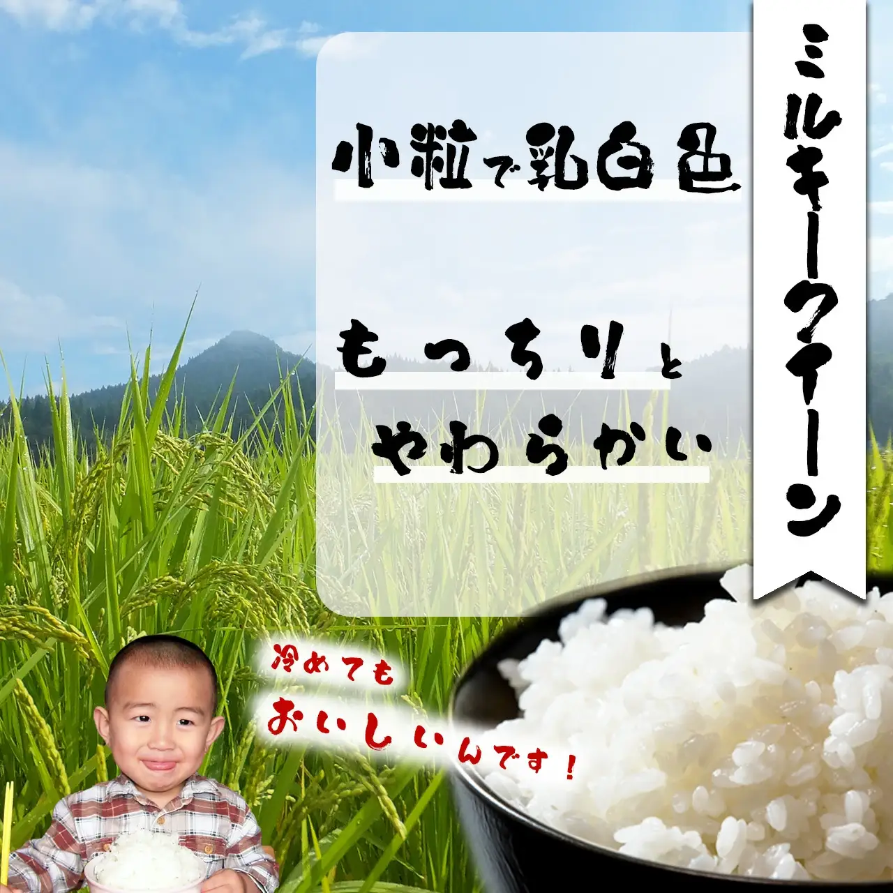 【令和7年産】ファームとのせ「ミルキークイーン 5kg」　85P9002