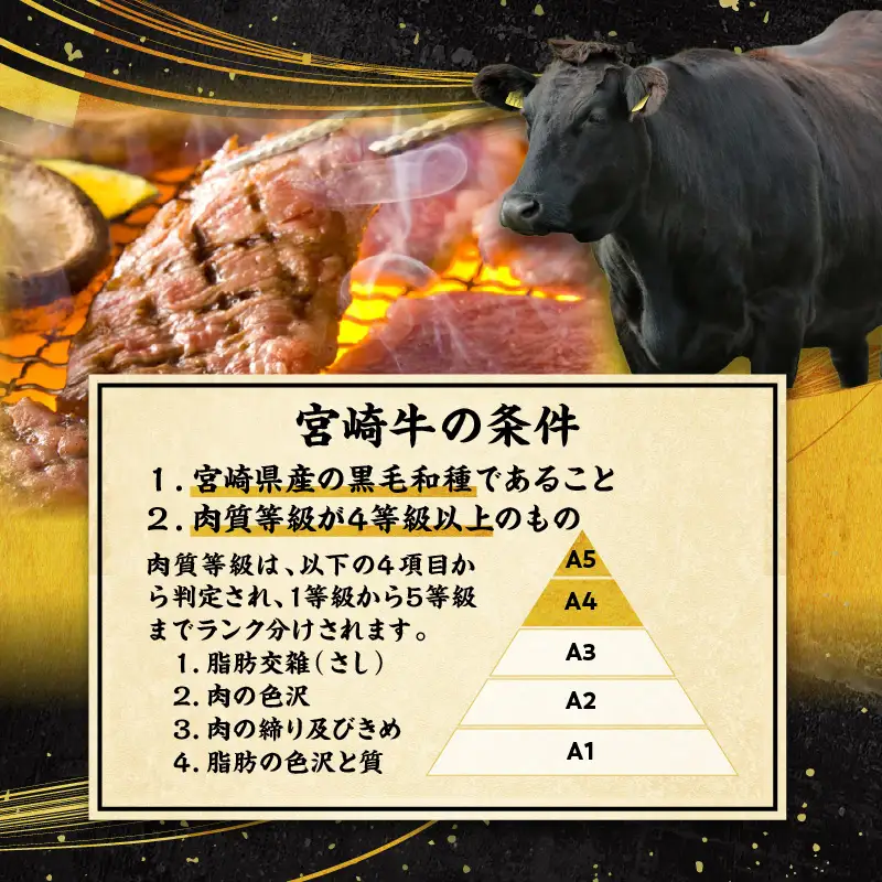宮崎牛・宮崎県産豚・ハンバーグが毎月届く！ミヤチク堪能定期便(総重量10.4kg) 牛肉 ハンバーグ 焼肉 しゃぶしゃぶ