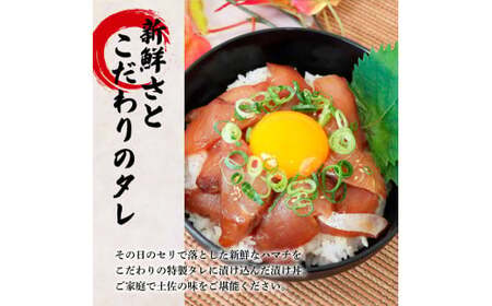 これが魚屋の漬け丼だ！～ハマチ～ 《訳あり》 ８０ｇ×５P