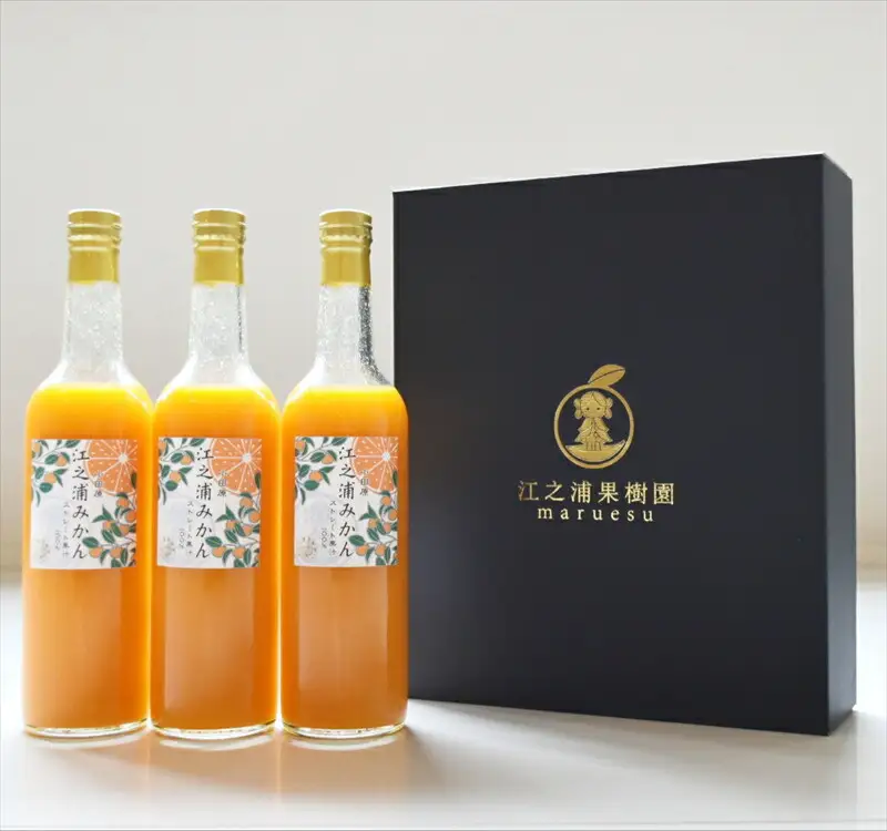 ギフトセット５００ml３本入り 小田原産江之浦みかん１００％ストレートジュース５００ml３本 【みかんジュース みかんジュース 神奈川県 小田原市 】