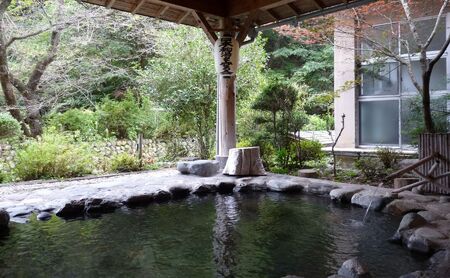 【平日限定】 川中温泉 かど半旅館 １泊２食ペア宿泊券 温泉 美人の湯 旅行 観光 お出かけ 癒し 泊り 温泉宿泊チケット 日本三美人の湯 源泉かけ流し 温泉旅館 温泉旅行 