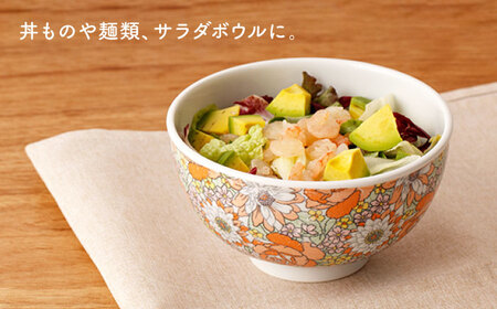 肥前吉田焼 軽々丼ぶりセット NAZ409 