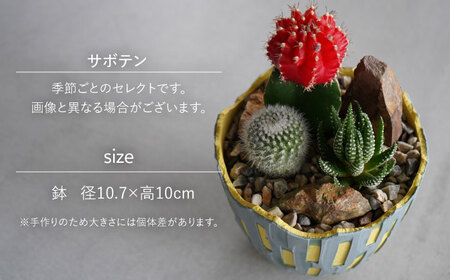 多治見市×春日井市コラボ 【美濃焼】 陶芸家「北川和喜」 重色目 深鉢S × 【日本有数のサボテンの生産地】 春日井市の名店 後藤サボテン 【井澤コーポレーション】[TBP174]