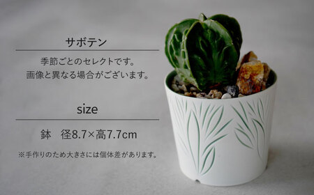 多治見市×春日井市コラボ 【美濃焼】 陶芸家「北川和喜」 重色目 植木鉢 × 【日本有数のサボテンの生産地】 春日井市の名店 後藤サボテン 【井澤コーポレーション】[TBP176]