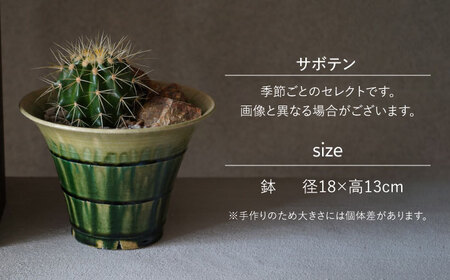多治見市×春日井市コラボ 【美濃焼】 陶芸家「鈴木徹」 植木鉢 L × 【日本有数のサボテンの生産地】 春日井市の名店 後藤サボテン 【井澤コーポレーション】[TBP178]