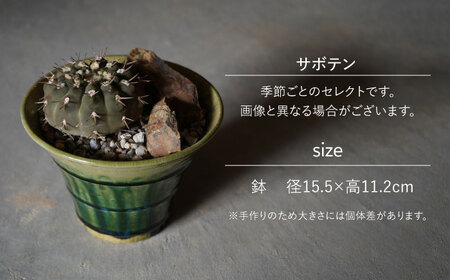 多治見市×春日井市コラボ 【美濃焼】 陶芸家「鈴木徹」 植木鉢 M × 【日本有数のサボテンの生産地】 春日井市の名店 後藤サボテン 【井澤コーポレーション】[TBP179]