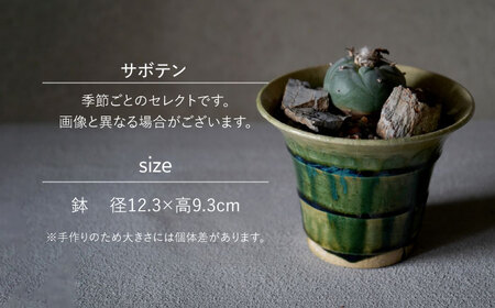 多治見市×春日井市コラボ 【美濃焼】 陶芸家「鈴木徹」植木鉢 S × 【日本有数のサボテンの生産地】 春日井市の名店 後藤サボテン 【井澤コーポレーション】[TBP180]