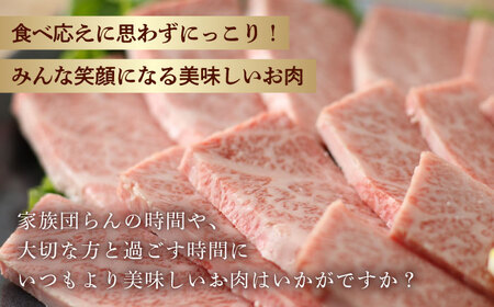 霜降り 焼肉セット 上カルビ 上モモ 計400g (200g×2) 長崎和牛 焼き肉 【夢ファームシュシュ】 [WF21] 肉 牛肉 カルビ モモ 焼肉 バーベキュー BBQ 九州 九州産
