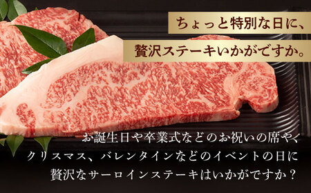 【第6回定期便】サーロイン ステーキ 640g（320g ×2枚） 長崎和牛 黒毛和牛  【夢ファームシュシュ】 [WF33] 肉 牛肉 サーロインステーキ 焼肉 定期便