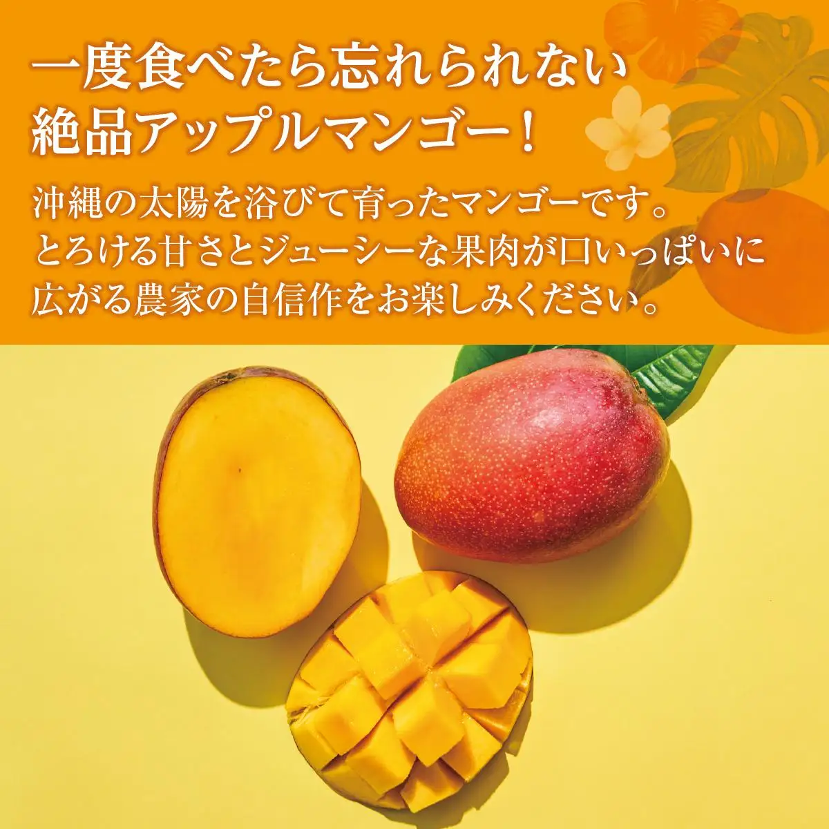 (先行受付)アップルマンゴー 南城市 約1kg (2～3玉)   