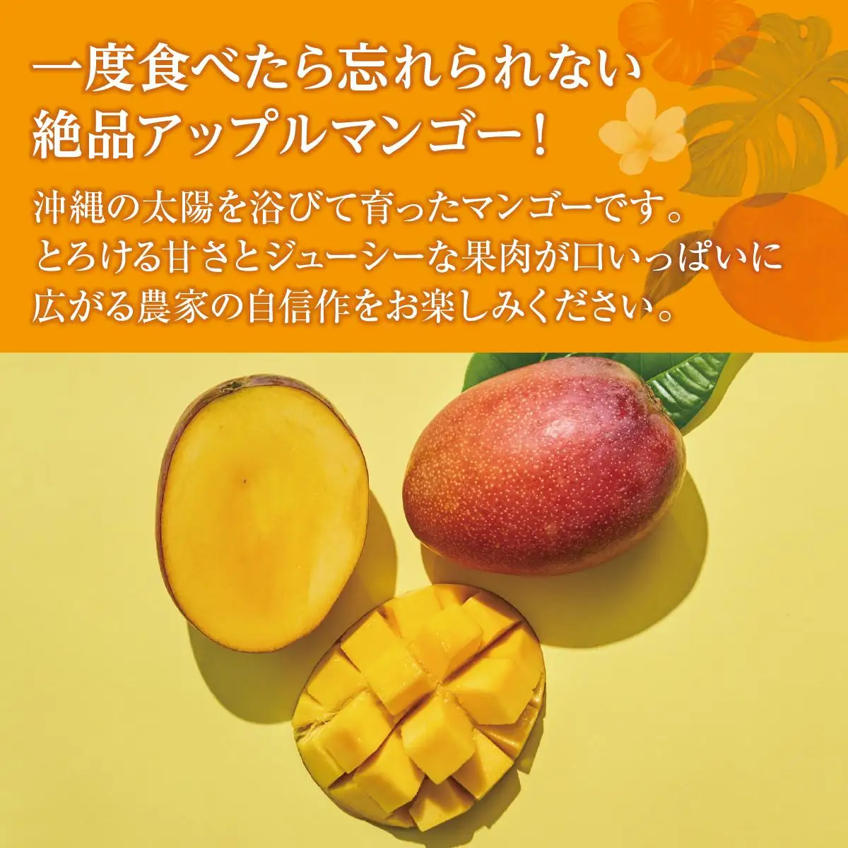 (先行受付)アップルマンゴー 南城市 約2kg (4～5玉)   