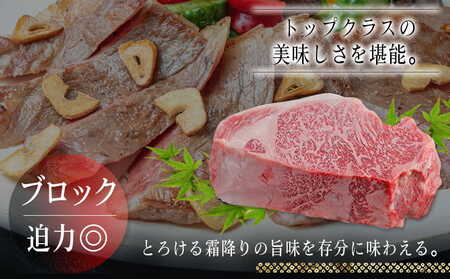 宮崎牛サーロインブロック1kg_AF-2501_(都城市) サーロインブロック肉 1キロ 肉のながやま 自社飼育 牛肉 焼肉 ステーキ すき焼き キャンプ