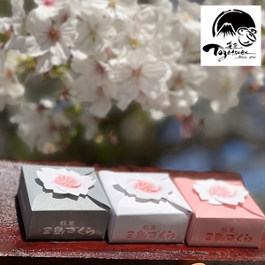 三島ざくら6個・らくじゅの実9個詰め合わせ 和菓子 お菓子 桃山風 栗餡 紫蘇餡 黒糖餡 さくら 桜 カステラ風 饅頭 スイーツ お祝い ご挨拶 ギフト 詰め合わせ 贈答用 祝い