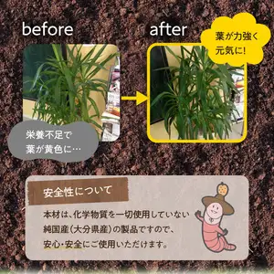 植物活性材　みみっこ（原液）10L R14155