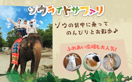 那須サファリパーク入園券セット 大人2名 子ども1名（入園＋ライオンバス＋エサやり）モンキーパーク割引チケット付き！動物 動物園チケット どうぶつえん チケット 券 入場券 入園券 エサやり ライオンバス付き 観光 ファミリー 栃木県 那須町〔P-159〕
