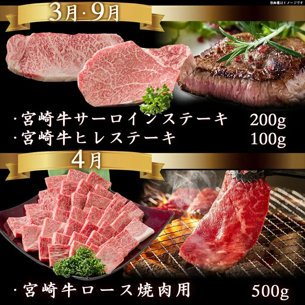迷ったらコレ!宮崎牛食べ尽くし定期便(10ヵ月)〔T120（10）-0101〕_(都城市)A5 5等級 牛肉 バラ 赤身 サーロインステーキ ヒレステーキ ロース 焼き肉 しゃぶしゃぶ すき焼き スライス 切り落とし