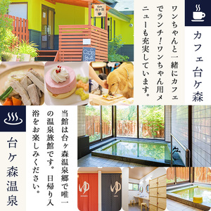 台ケ森温泉 山野川旅館 DogVillage台ケ森 施設利用券 3,000円分 ドッグラン 宿泊 日帰り温泉 温泉旅館 ペット 大型犬 中型犬 小型犬 カフェ【山野川旅館】ta196