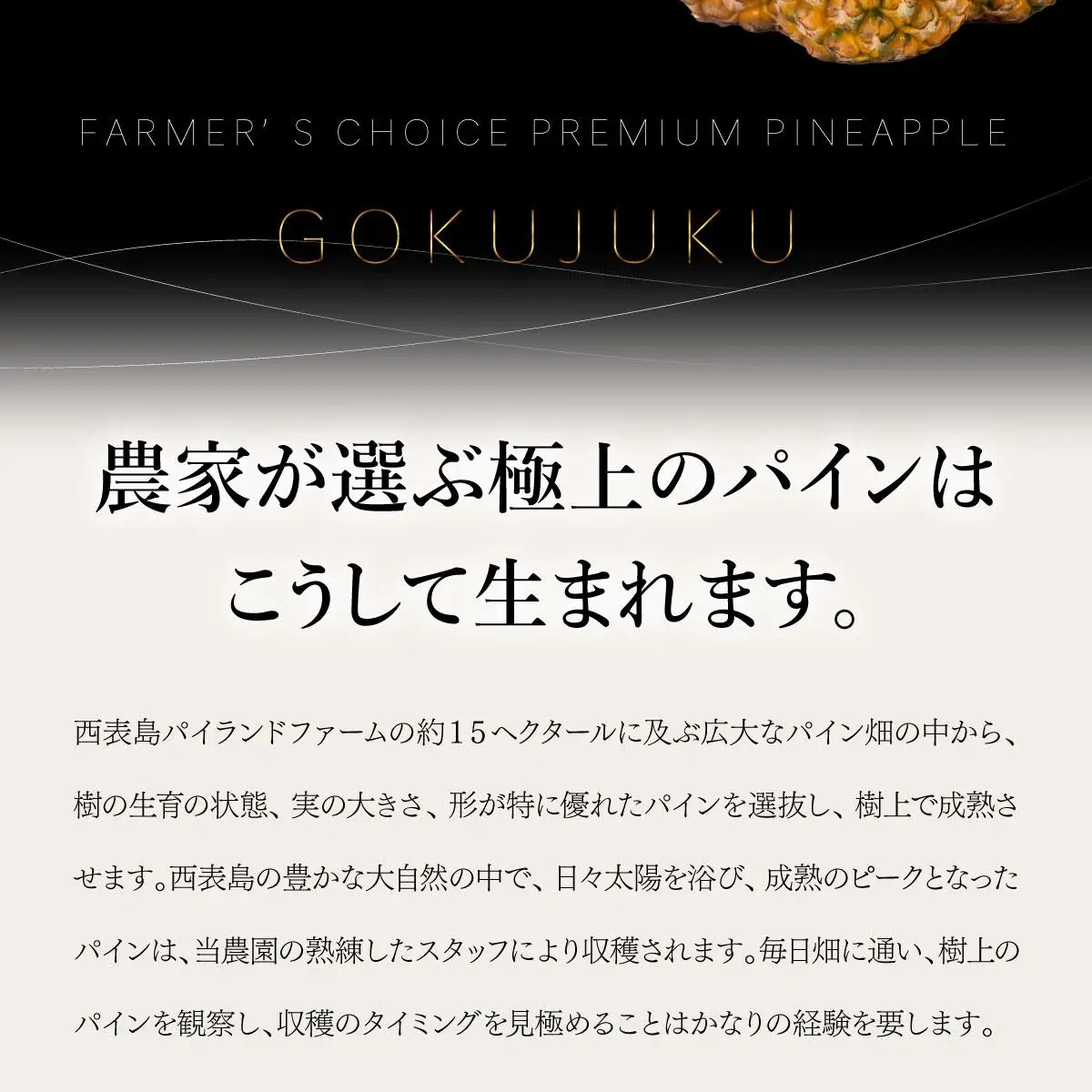 GOKUJUKU-極熟プレミアムサンドルチェ(R) 1.4kg以上 