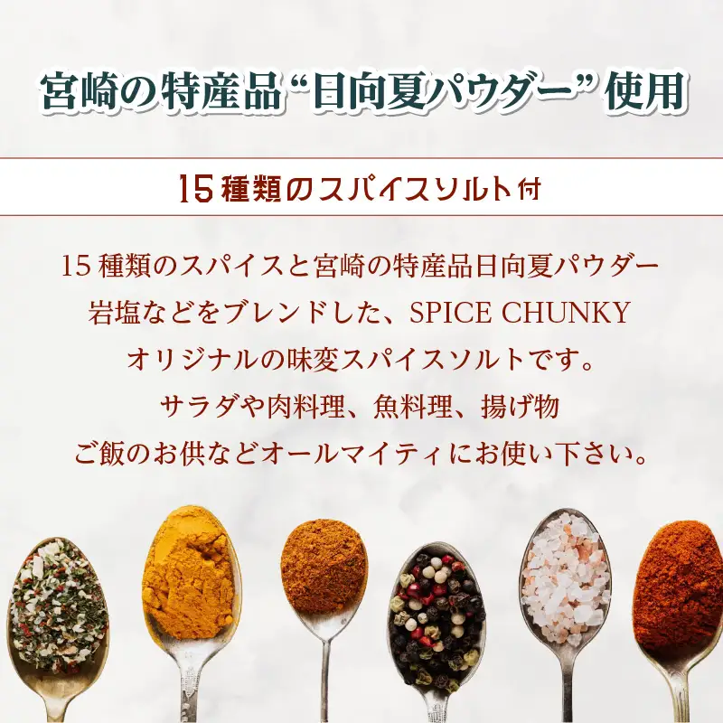 宮崎スープカレーセット(スープカレーほろほろチキン真空冷凍パック、スパイスソルト) スープ カレー レトルト