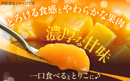 数量限定 完熟マンゴー 3L×2玉 フルーツ 果物 くだもの 国産_DD8-23