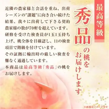 【発送月固定定期便】【農林水産大臣賞受賞!!】山梨の白桃とシャインマスカットの全2回　各1kg以上_甘いシャインマスカット あまいシャインマスカット 美味しいシャインマスカット おいしいシャインマスカット 人気のシャインマスカット 瑞々しいシャインマスカット _【配送不可地域：離島・沖縄県】【4005369】