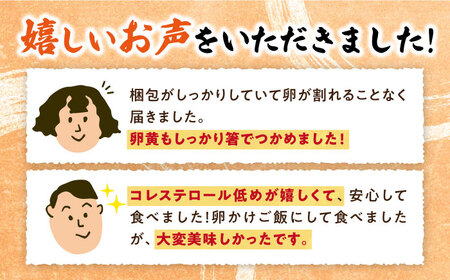 3回定期便 最高級 卵 Mサイズ 40個＜垣山養鶏園＞ [CBB018] 卵