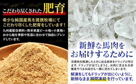 馬刺し 純国産 ウマウマ PREMIUM 専用醤油付き 50g ×4種 計200g 九州食肉産業