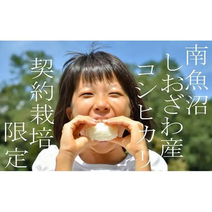 【令和7年産】【精米4Kg】契約栽培限定 南魚沼しおざわ産コシヒカリ
